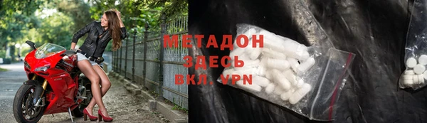индика Вяземский