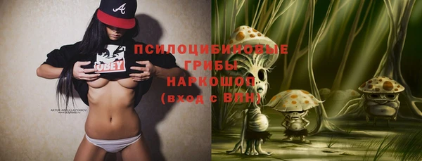 индика Вяземский