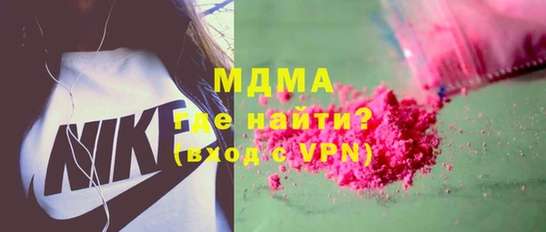 индика Вяземский