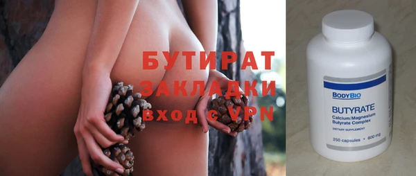 индика Вяземский