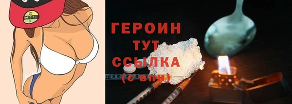 индика Вяземский