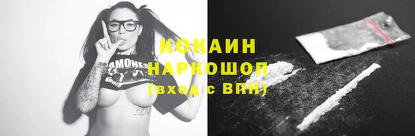 стафф Вязьма