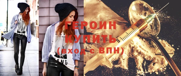 индика Вяземский