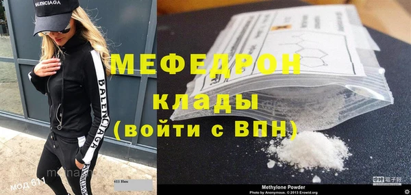 индика Вяземский