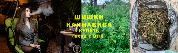 стафф Вязьма