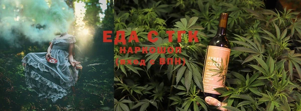 индика Вяземский