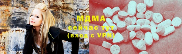 индика Вяземский