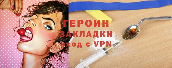 индика Вяземский