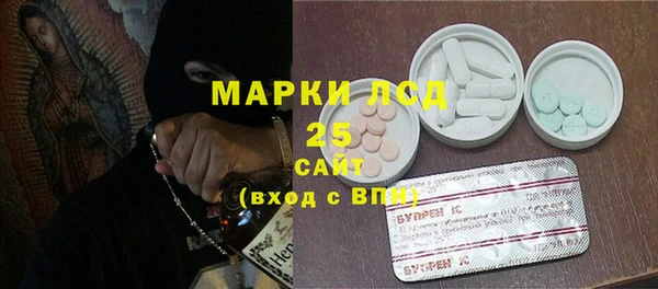 стафф Вязьма