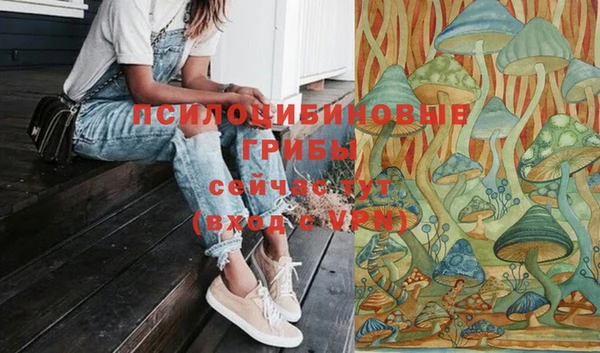 прущий лед Вязники