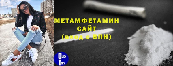 индика Вяземский