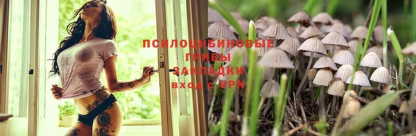 индика Вяземский