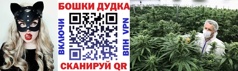 МАРИХУАНА планчик  Сызрань 